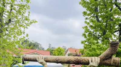 Plumber holding pipe Photo